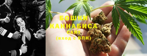 сатива Армянск
