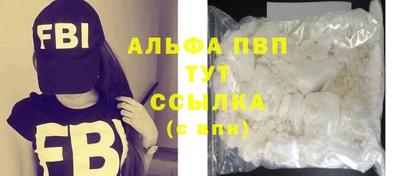 стаф Арсеньев