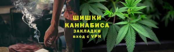 сатива Армянск