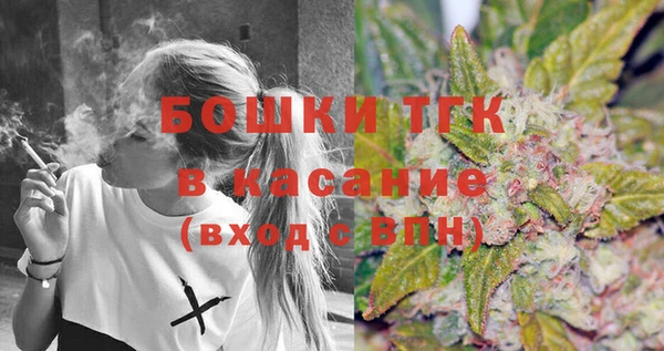 стаф Арсеньев