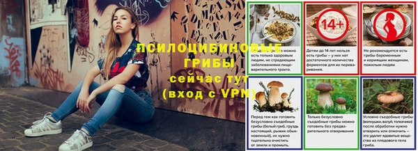 сатива Армянск