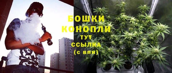 сатива Армянск