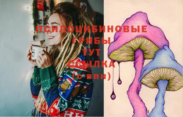 не бодяженный Аркадак