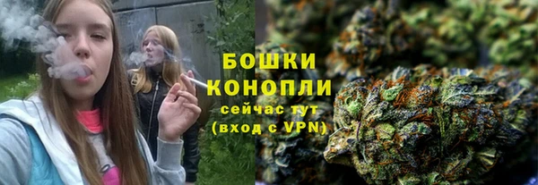 прущие грибы Покров