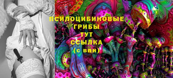 стаф Арсеньев