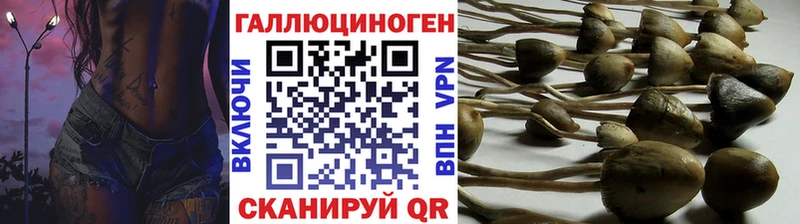 Псилоцибиновые грибы Psilocybe  Малоархангельск 